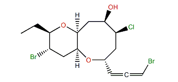 Nangallene B